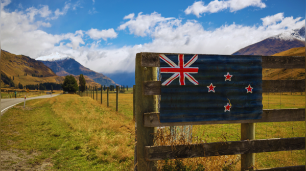 What is the NZeTA and who needs it?