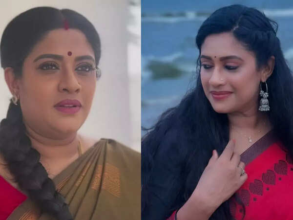 Meera Krishna Images