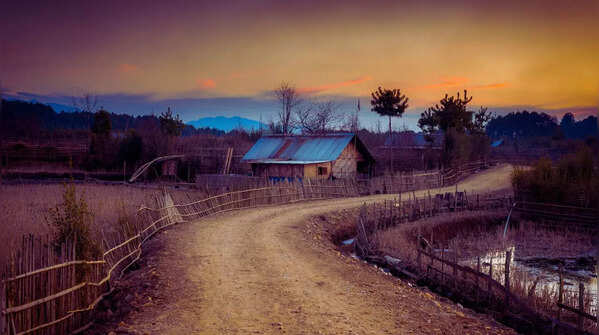 Ziro Valley
