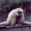 Namdapha National Park