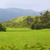 Sakleshpur to Bisle Ghat