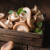 They’re a gentle source of anti-inflammatory support
