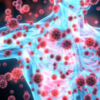They support the immune system without making a fuss