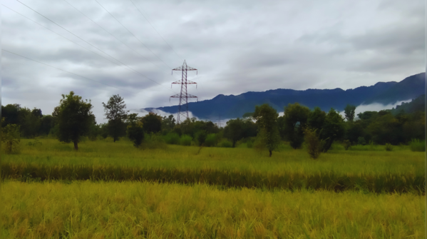 Pathankot to Joginder Nagar, Himachal Pradesh