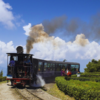 New Jalpaiguri to Darjeeling, West Bengal