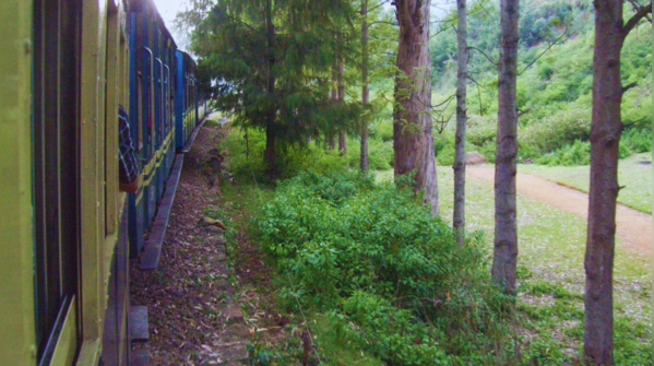 Mettupalayam to Ooty, Tamil Nadu