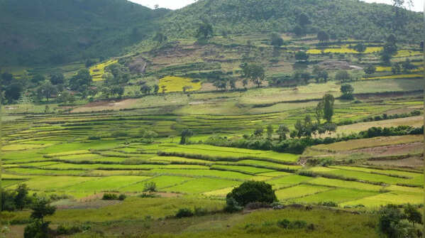 Eastern Ghats for beryl, topaz, garnet