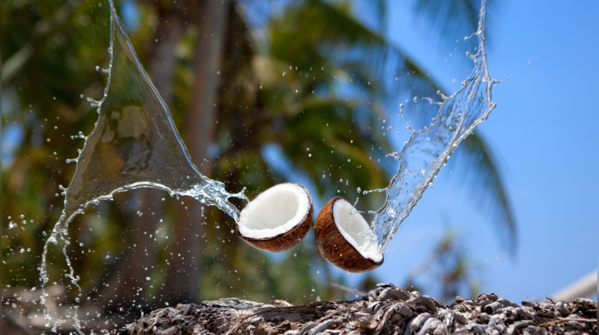 Benefits of coconut