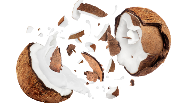 Coconut as an offering
