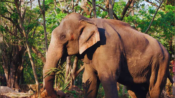 Kaundinya Wildlife Sanctuary
