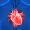 Great for the heart and circulation