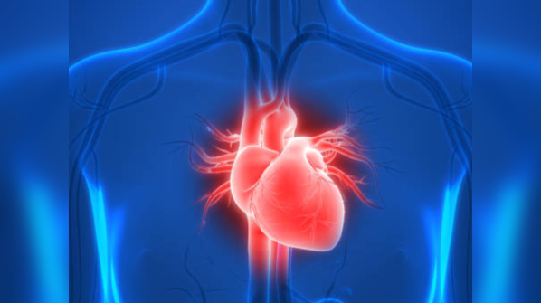 Great for the heart and circulation