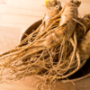 Panax Ginseng