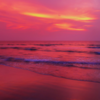 Tarkarli Beach, Maharashtra