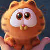 ​Garfield