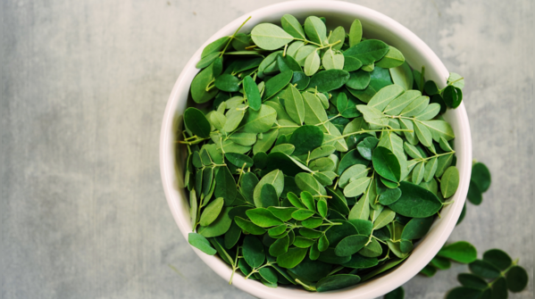 Natural blood cleanser with chlorophyll boost