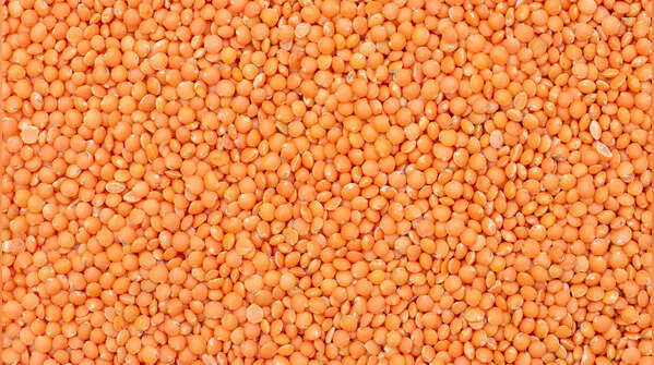 Rich in protein and iron
