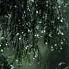 India’s rainy escapes!