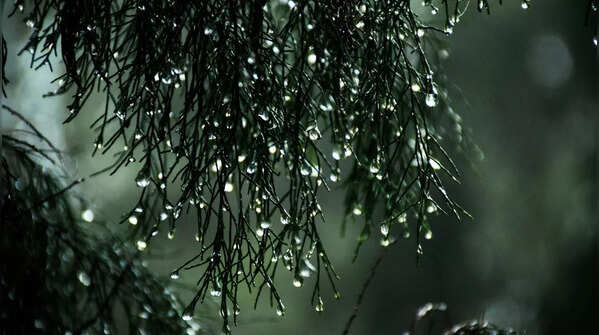 India’s rainy escapes!