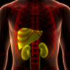 Myth 1: Hepatitis is always caused by drinking alcohol or eating contaminated food