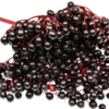 Elderberry: The immunity defender