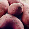 Nutritional value of sweet potato