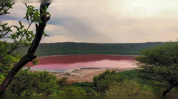 Lonar