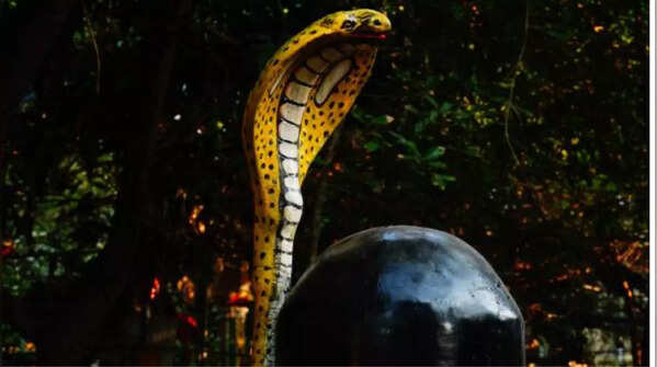 Nag Panchami