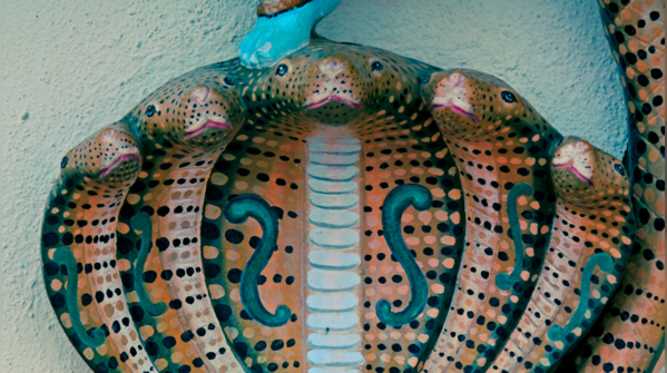 Karkotaka