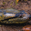 Brazil – 75 national parks