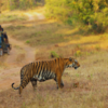 India – 116 national parks