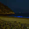 Mosquito Bay, Vieques