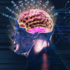 The brain’s own growth factor responds to walking