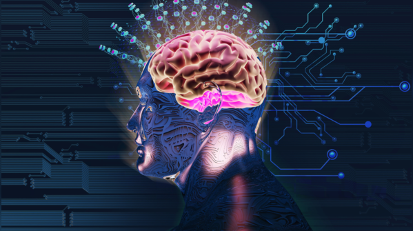 The brain’s own growth factor responds to walking