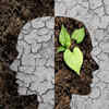 Cultivates clarity and intention for decision making