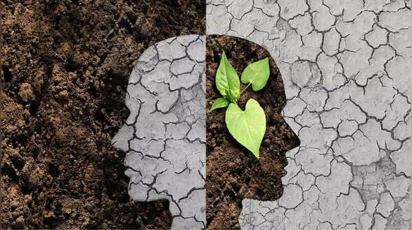 Cultivates clarity and intention for decision making