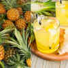 Citrus fruits