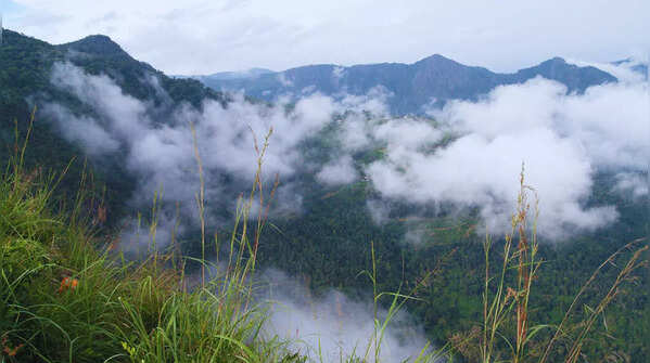 Needle Rock View Point, Gudalur