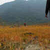 Namdapha National Park (Arunachal Pradesh)