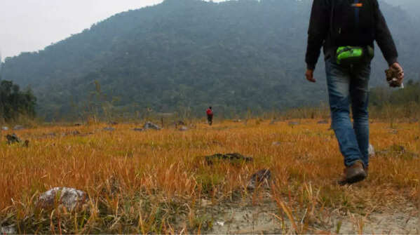Namdapha National Park (Arunachal Pradesh)