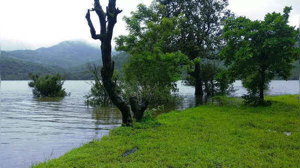Pune to Tamhini Ghat and Mulshi