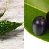 Why is karela jamun juice good for high sugar?