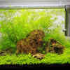 Choose the right tank size