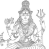 Brahmani