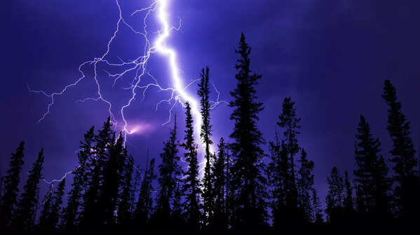 Scientists cracked a centuries-old mystery