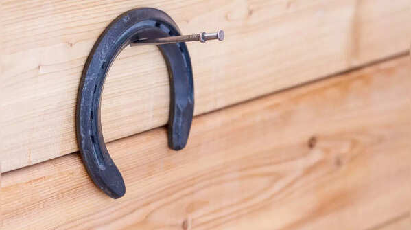 What is a horseshoe