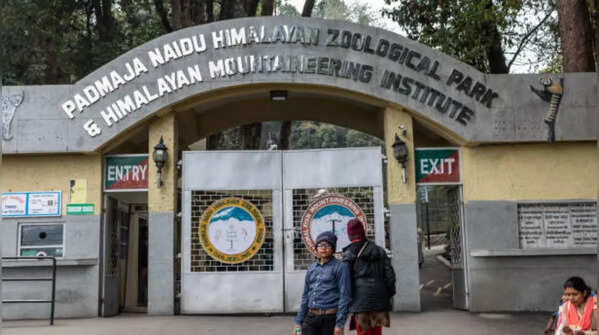 Padmaja Naidu zoological park, Darjeeling