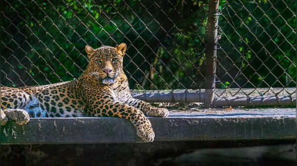 National Zoological Park, Delhi: