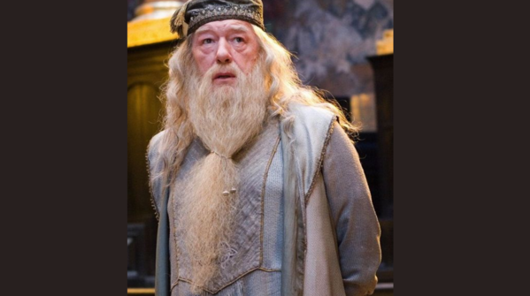 “It is our choices, Harry, that show what we truly are, far more than our abilities.”— Dumbledore, Chamber of Secrets