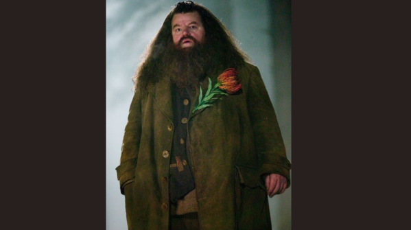 “You're a wizard, Harry.”— Hagrid, Sorcerer’s Stone